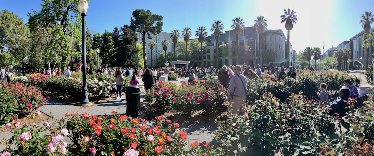 butterfly-release-pano